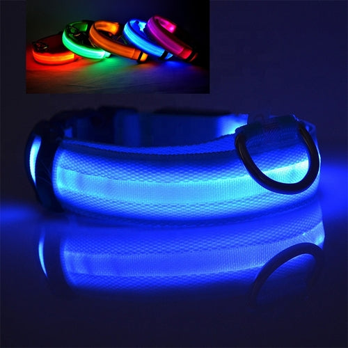 USB OPLAADBARE LED-HALSBAND VOOR HONDEN [Meerdere maten]